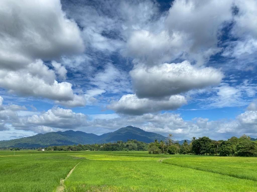 Jasmine Villa Pantai Cenang  Kültér fotó